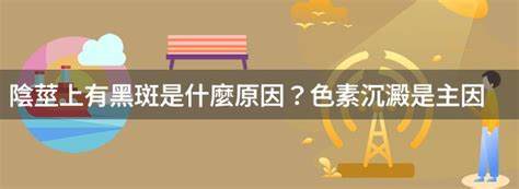 龜頭黑黑|陰莖上有黑斑是何原因？要緊嗎？